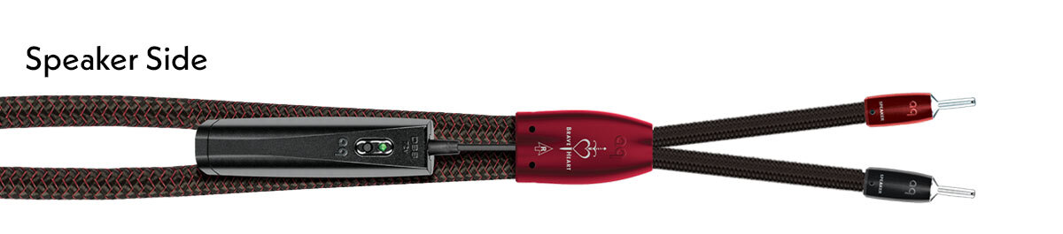 Close-up of the AudioQuest BraveHeart cable termination for the speaker end, showing the split construction